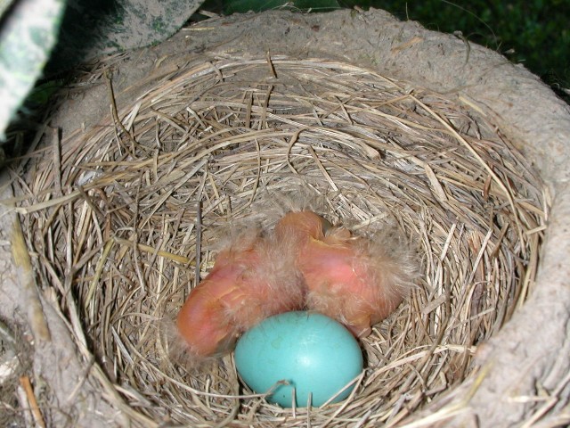 A Surprise On The Deck