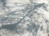 Shadows on Snow