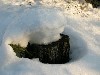 Stump in Snow